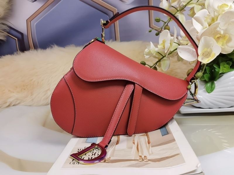 Christian Dior Saddle Bags